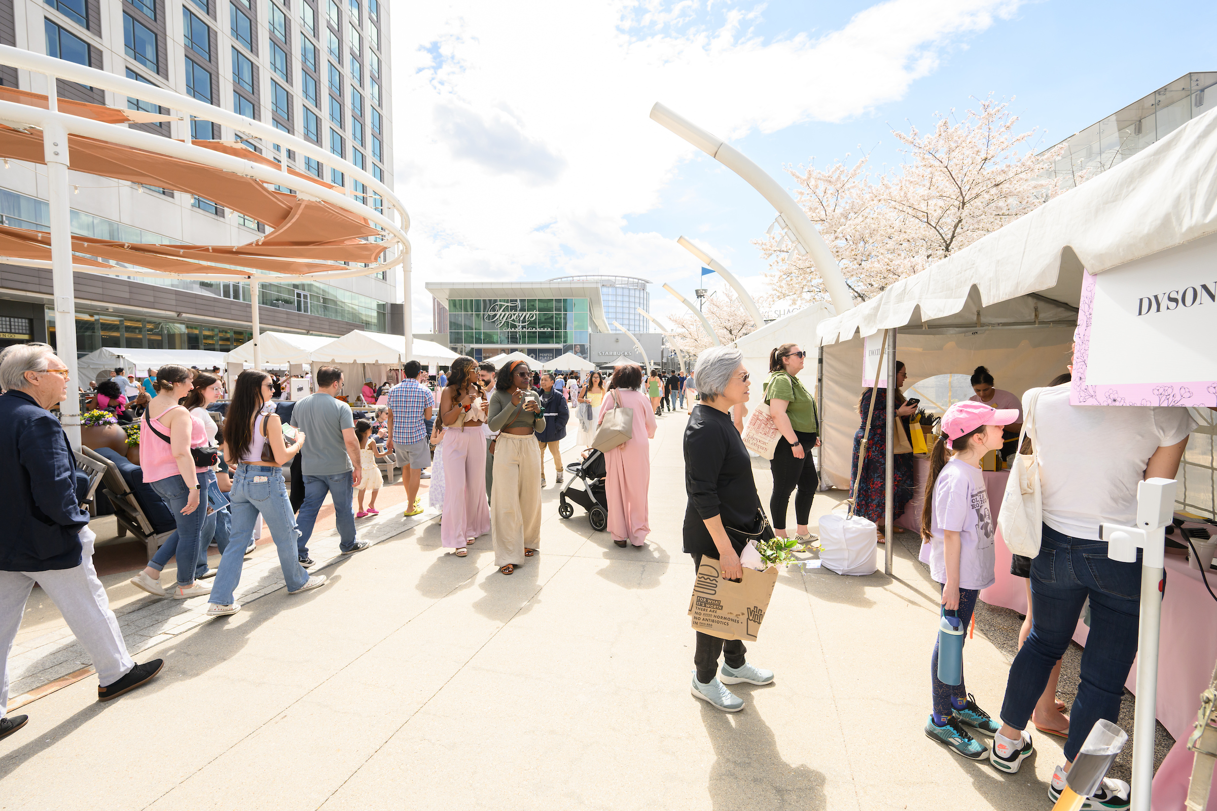 cherry blossom event 