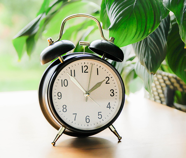 An alarm clock no a desk next to a houseplant