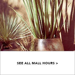 See All Mall Hours