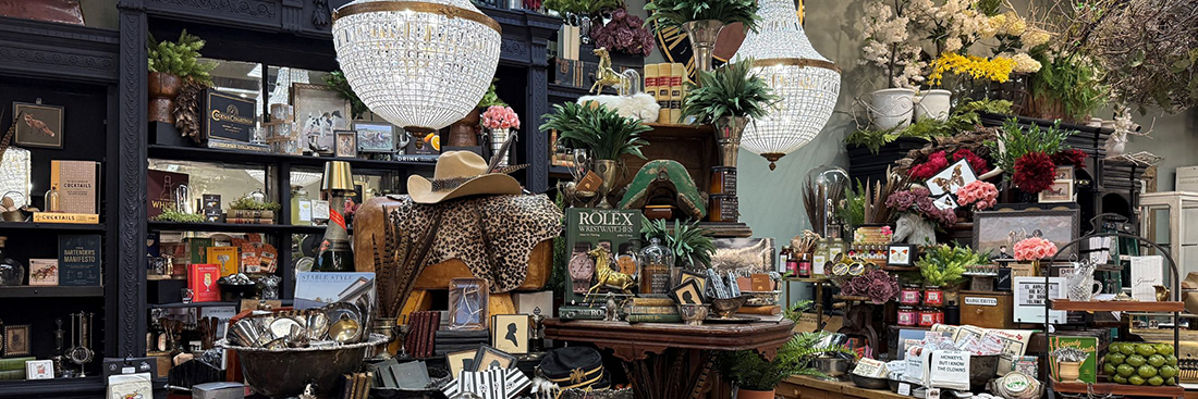Shop with hat and full of books and chandeliers hanging in store full with plants