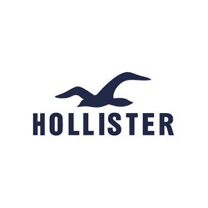 Hollister hotsell clothing company