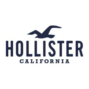 hollister in arden mall